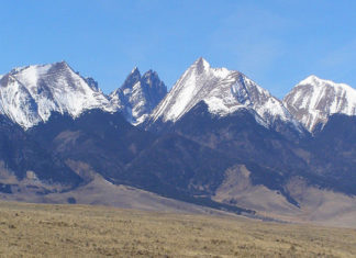 A Decision 37 Years in the Making