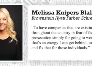 Lawyers of the Year 2019: Melissa Kuipers Blake