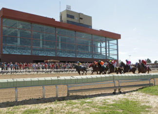 Race Betting and Sports Betting Different — Rules Go Back Decades Horse Racing at Arapahoe Park