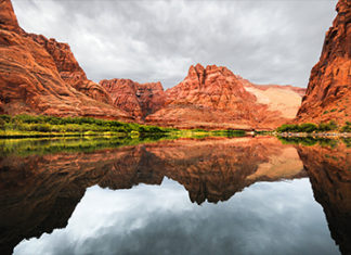 The Muddy Waters of WOTUS Water Markets