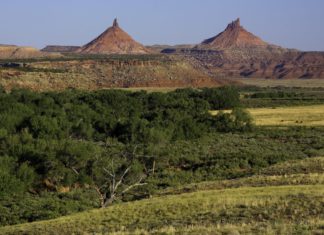 Return to Pre-Trump Priorities, Climate in Focus for U.S. Department of Interior Bears Ears Monument