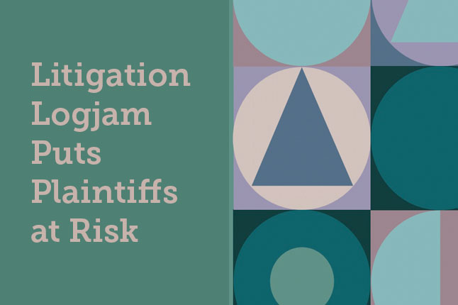 litigation mpr ft image -final