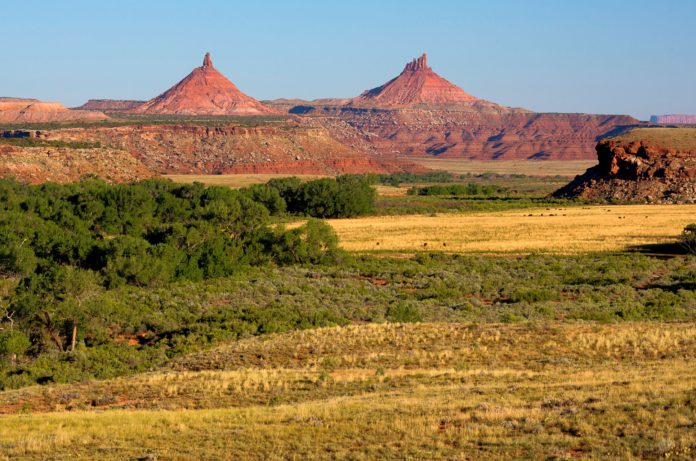 BEARS EARS