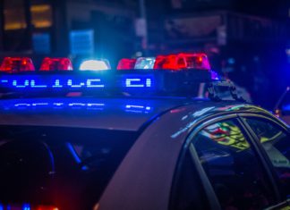 In Split 10th Circuit Decision, Majority Finds Lakewood Police Shot Man Without Cause A police car with lights on