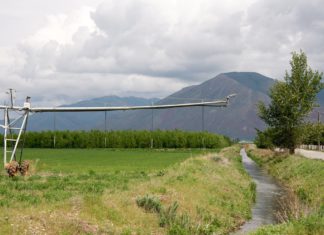 ‘Coroner’ Coming for Thousands of Colorado Water Rights on July 1 A water irrigation ditch in rural Colorado