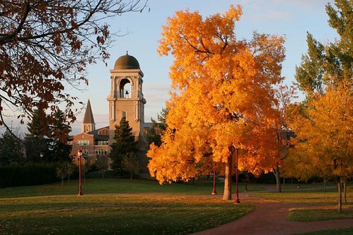 Sturm Law School campus, the Buchtel Tower