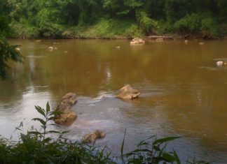 Federal Appeals Court, in Scrutinized Hydroelectric Facility Case, Orders FERC Caution Before Agency Finds State Water Quality Authority Waiver Haw River, North Carolina