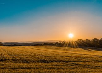 Colorado Farmer’s Suit Joins Others Claiming Race Discrimination in COVID Relief The sun sets over sprawling farmlands.