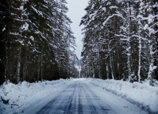 Detective’s Son Sentenced to Death in 1995 for Rape and Murder; Verdict Later Overturned for Improper Jury Conduct A icy and dark road flanked by tall trees.