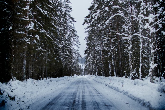 A icy and dark road flanked by tall trees.