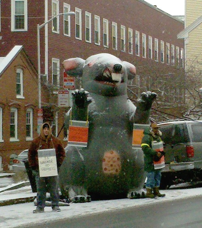 rat Scabby the Rat, an inflatable rat used by union protestors, sits in the snow outside of a building nearby a picketer.