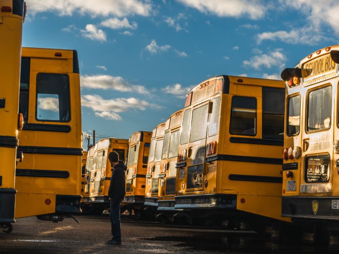 Man standing between school busses