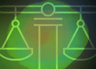 Seventeen Legal Non-Profits to Support This Colorado Gives Day