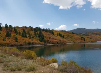Federal Government and Colorado Enter Into Proposed Settlement with Mining Company After the Gold King Mine Spill Lake surrounded by trees in Las Animas County