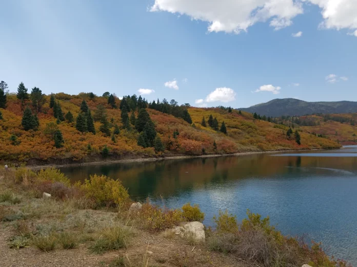Lake surrounded by trees in Las Animas County
