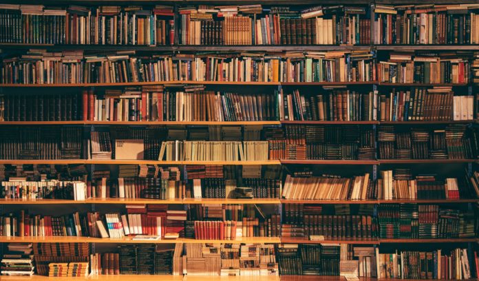 a wall of old books is dimly lit by a nearby window.