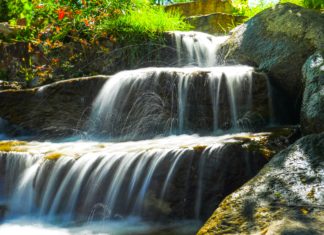 Colorado’s First Woman Water Lawyer A tributary feeds into the Arkansas River near a bridge. Water is falling over three different rock levels with lush green plants peaking over the bank on one side.