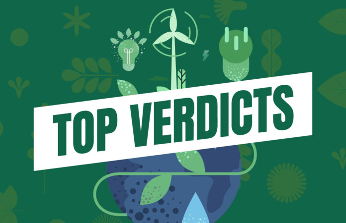 202504_LWC_Graphics_Top Verdicts-Energy Natural Resources_Feature