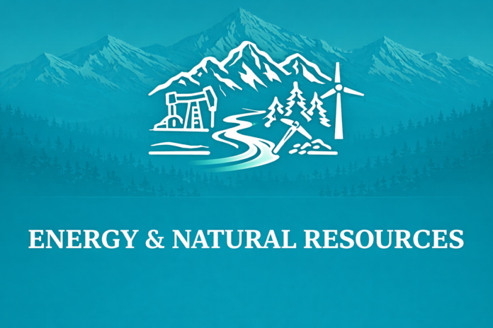 EnergyandNatural